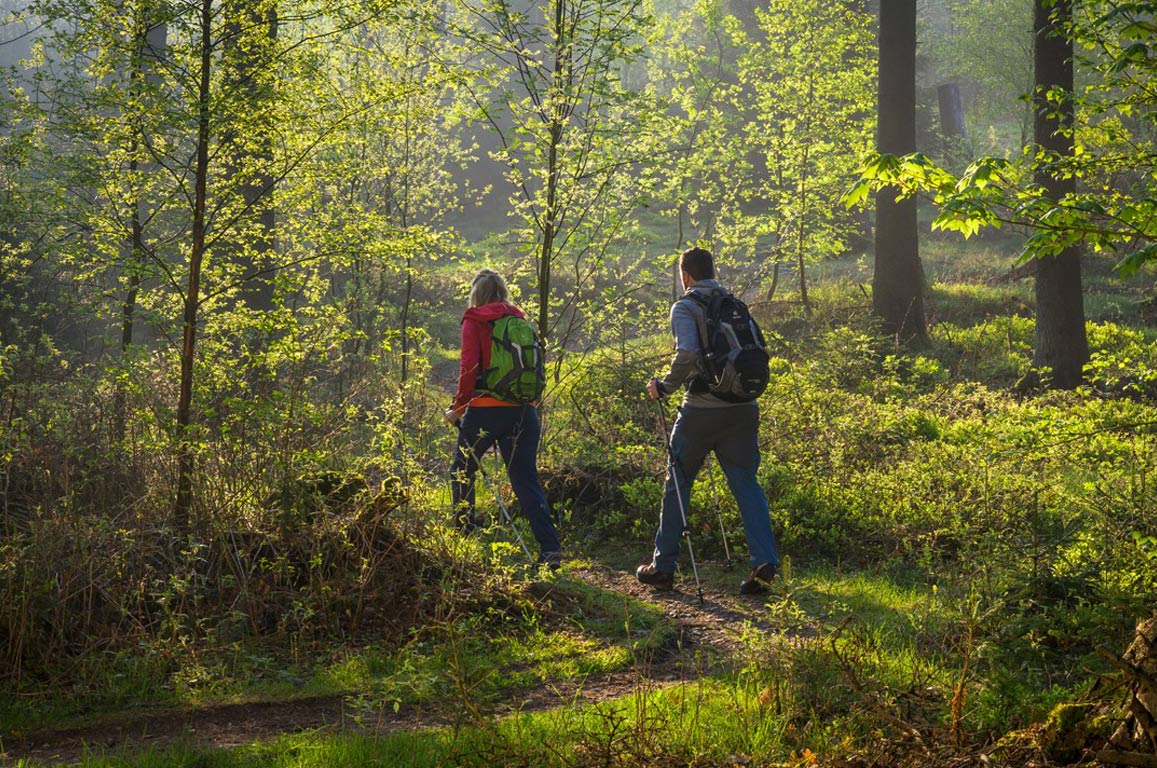 Wandern im schönen Sauerland auf dem Hof Verse