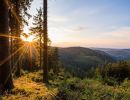 aussicht vom rothaarsteig im sauerland  kopie 