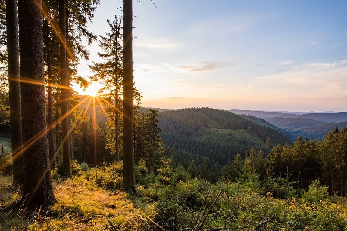 Landurlaub auf Ferienhof dem Sauerland Verse im