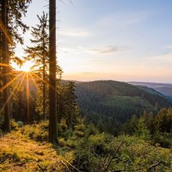 aussicht vom rothaarsteig im sauerland  kopie 