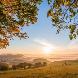 herbstlicher sonnenuntergang am rothaarsteig  kopie 