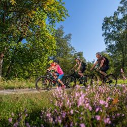 radausflug mit familie in der natur um lennestadt kirchhundem