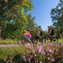 radausflug mit familie in der natur um lennestadt kirchhundem radausflug mit familie in der natur um lennestadt kirchhundem
