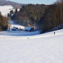 winterbild