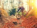shutterstock urlaub mit dem rad