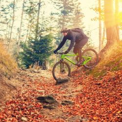 shutterstock urlaub mit dem rad shutterstock urlaub mit dem rad