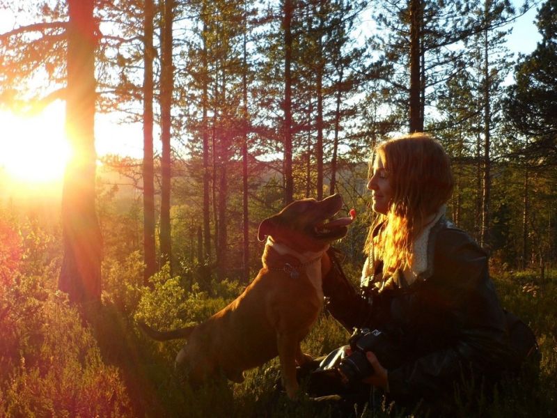 urlaub mit hund urlaub mit hund