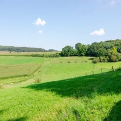 natur pur im schoenen melbecketal