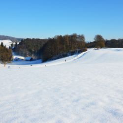 rodelhang bei ihrem winterurlaub auf dem ferienhof verse rodelhang bei ihrem winterurlaub auf dem ferienhof verse