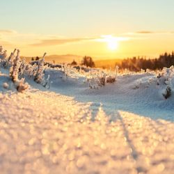 sonnenaufgang beim winterurlaub zwischen olpe und winterberg sonnenaufgang beim winterurlaub zwischen olpe und winterberg