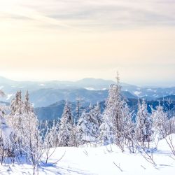 Winterlandschaft beim Top Winterurlaub zwischen Olpe und Winterberg