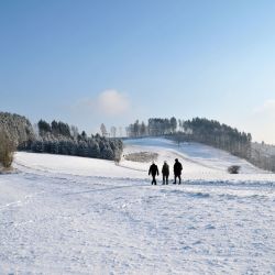 Wandern beim Winterurlaub in herrlicher Winterlandschaft vom Sauerland. Wandern beim Winterurlaub in herrlicher Winterlandschaft vom Sauerland.