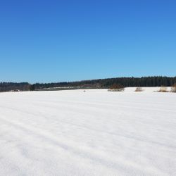 Winterzauber beimWinterurlaub auf dem Ferienhof Verse im Sauerland.