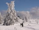 Winterzauber beim Wandern im Sauerland in der Umgebung von Winterberg.