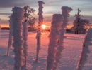 Herrlicher Sonnenuntergand beim Sauerland -Winterurlaub.