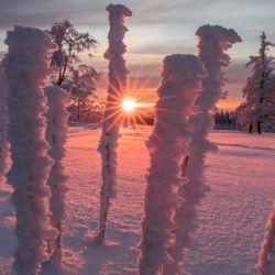 Herrlicher Sonnenuntergand beim Sauerland -Winterurlaub.