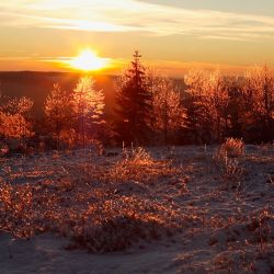 Sonnenuntergang beim Winterurlaub in der Umgebung von Winterberg. Sonnenuntergang beim Winterurlaub in der Umgebung von Winterberg.