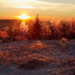 Sonnenuntergang beim Winterurlaub in der Umgebung von Winterberg.