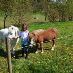 ponys auf dem ferienhof verse im sauerland