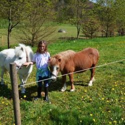 ponys auf dem ferienhof verse im sauerland