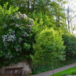 natur direkt vor der haustuer natur direkt vor der haustuer