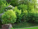 natur direkt vor der haustuer