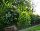 natur direkt vor der haustuer