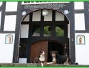 hunde von gaeste im urlaub mit hund auf dem ferienhof in lennestadt