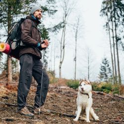 sauerland wandern im urlaub mit hund