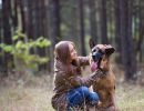 wandern im urlaub mit hund auf dem hof verse im sauerland