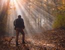 wandern mit hund beim urlaub mit hund im sauerland