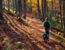 wandern mit hund beim urlaub mit hund in lennestadt