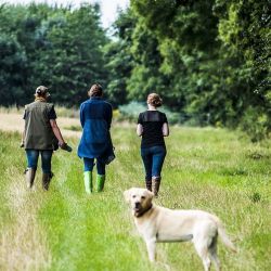 Urlaub mit Hund im Sauerland auf dem Ferienhof Verse