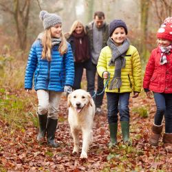 Familienwanderung mit der Familie und dem Hund im Sauerland.