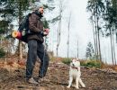 Sauerland und Wandern im Urlaub mit Hund auf dem Ferienhof Verse. Hier können sie sich so richtig erholen.