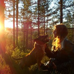 Herrlicher Sonnenuntergang beim Urlaub imit Hund im Sauerland.