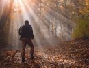 Herrliche Wanderung mit dem Hund durch den idyllischen Herbstwald im Sauerland. Hier kann man sich so richtig entspannen.