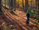 Wandern mit Hund beim Urlaub mit Hund in Lennestadt