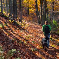 Wandern mit Hund beim Urlaub mit Hund in Lennestadt