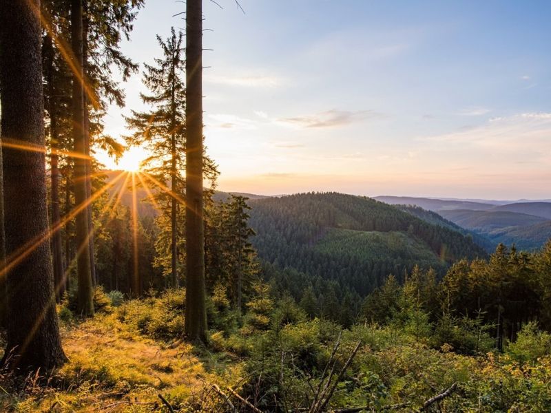 aussicht vom rothaarsteig im sauerland  kopie  aussicht vom rothaarsteig im sauerland  kopie