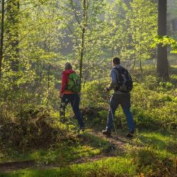 Wanderurlaub im Sauerland auf dem Ferienhof Verse im idyllischen Melbecketal