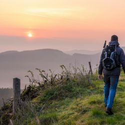 Wanderurlaub im Sauerland auf dem Ferienhof Verse im idyllischen Melbecketal