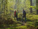 naturwandern in der urlaubsregion lennestadt kirchhundem  kopie 
