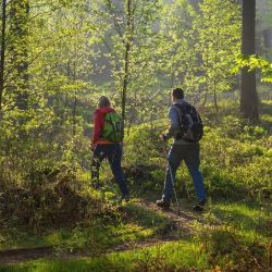 naturwandern in der urlaubsregion lennestadt kirchhundem  kopie 