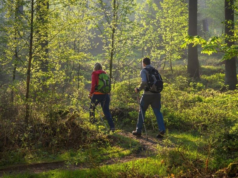 naturwandern in der urlaubsregion lennestadt kirchhundem  kopie  naturwandern in der urlaubsregion lennestadt kirchhundem  kopie